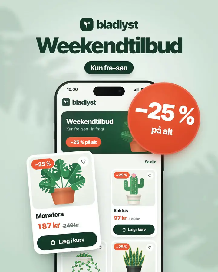 Webshop: Weekendtilbud